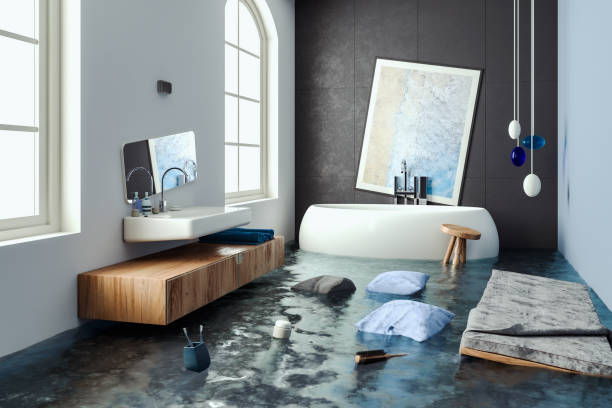 Best Water damage mitigation services  in Grand Junction, CO