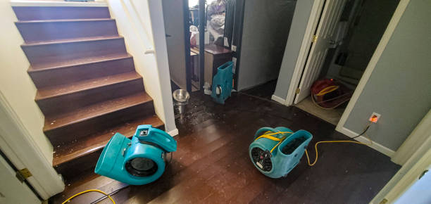 Best Fire Damage Restoration  in Grand Junction, CO