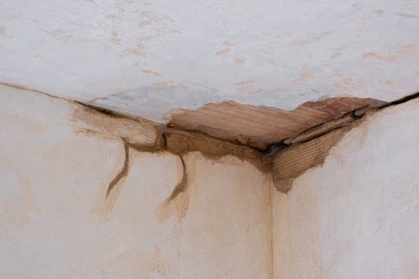 Best Water damage restoration near me  in Grand Junction, CO