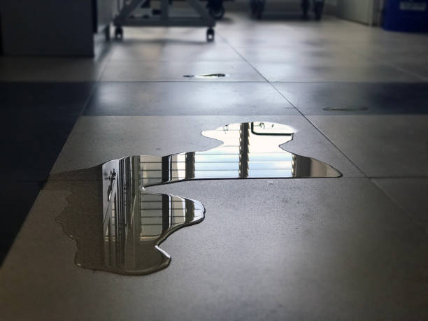 Best Water damage restoration near me  in Grand Junction, CO