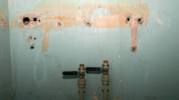 Best Emergency water damage restoration  in Grand Junction, CO