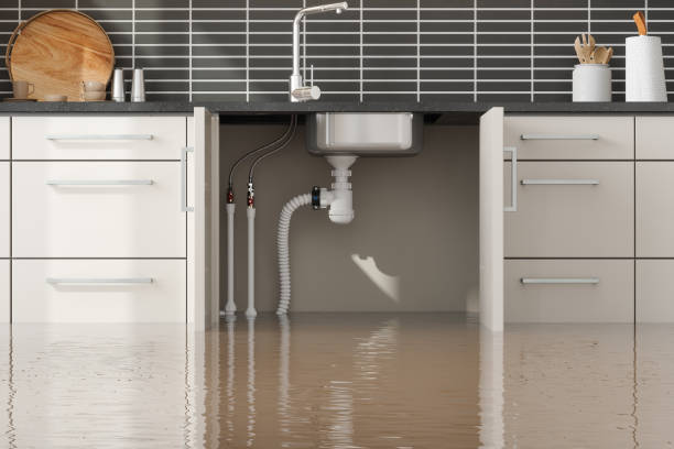 Best Water damage cleanup near me  in Grand Junction, CO