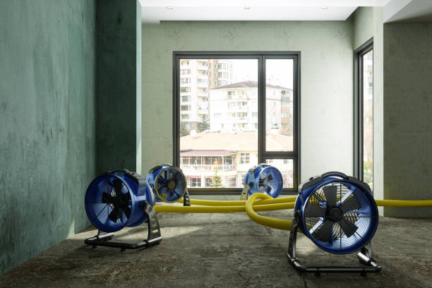 Best Sewage cleanup and water damage restoration  in Grand Junction, CO